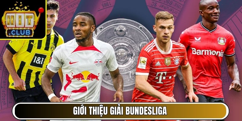Giới thiệu giải Bundesliga