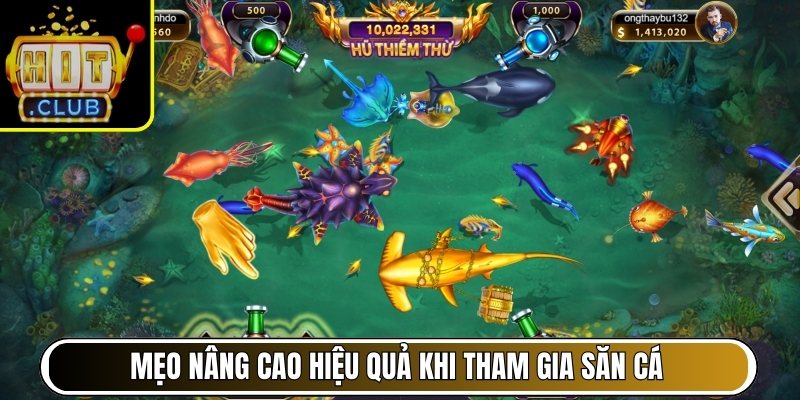 Mẹo nâng cao hiệu quả khi tham gia săn cá